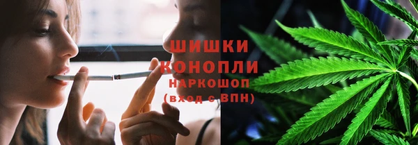 прущие грибы Лабытнанги