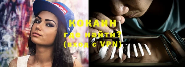 прущие грибы Лабытнанги