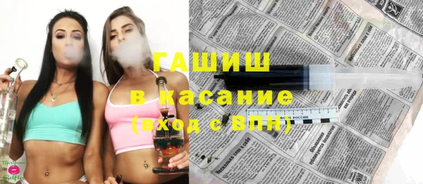 прущие грибы Лабытнанги