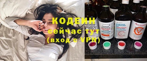 прущие грибы Лабытнанги