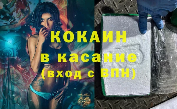 прущие грибы Лабытнанги