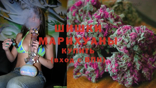 прущие грибы Лабытнанги
